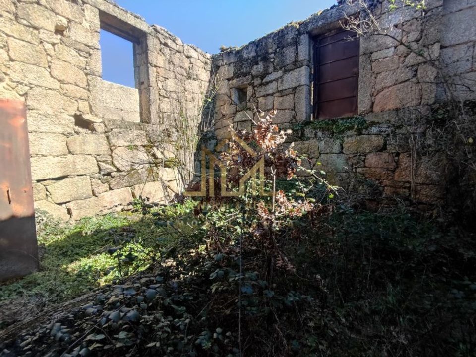 Farm i Celorico da Beira, Guarda - foto 3