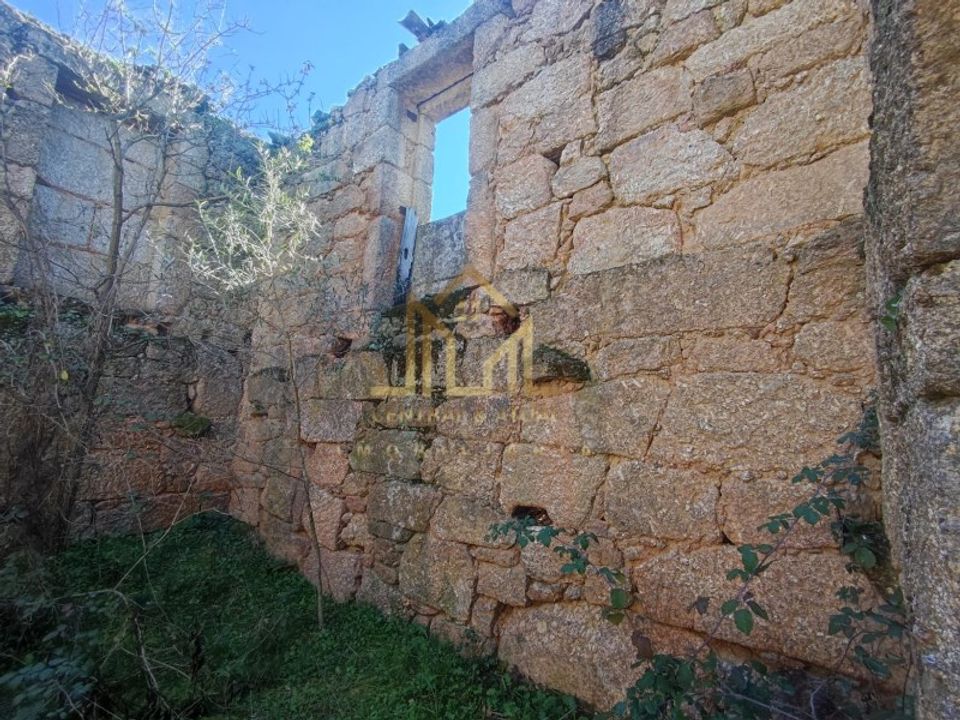 Farm i Celorico da Beira, Guarda - foto 4