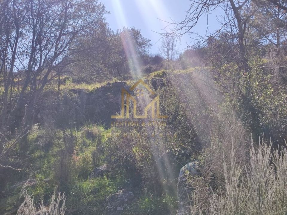 Farm i Celorico da Beira, Guarda - foto 5