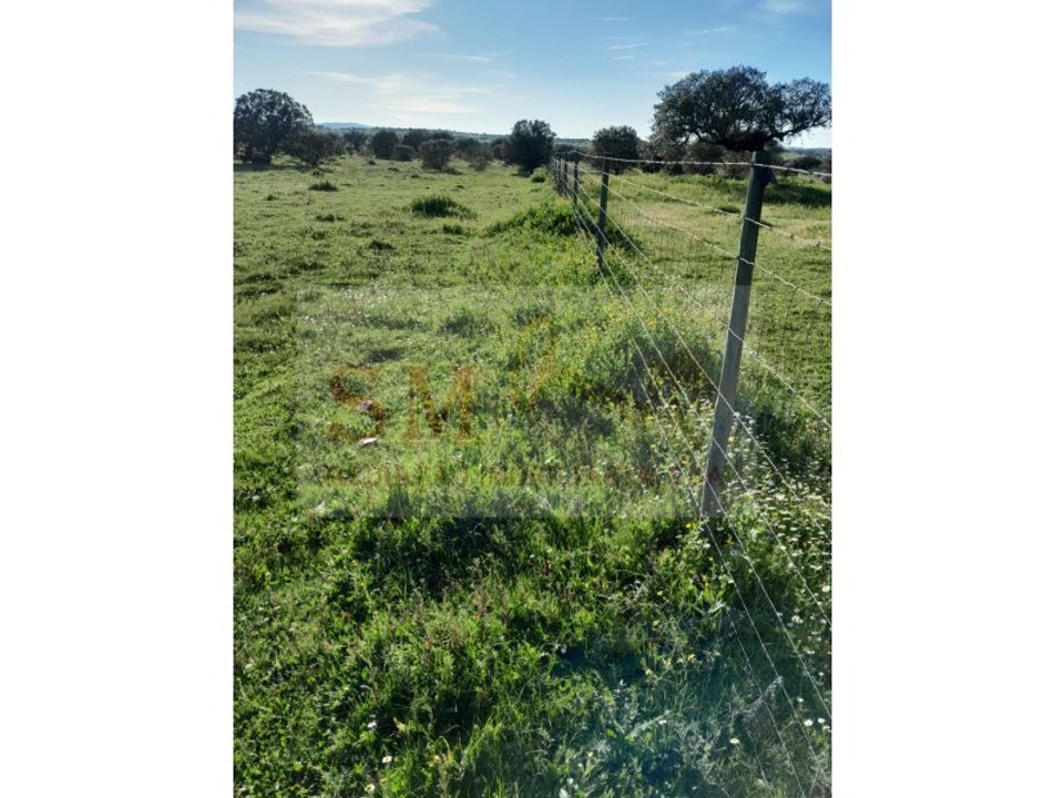 Helårsgrund i Alandroal, Evora - foto 4