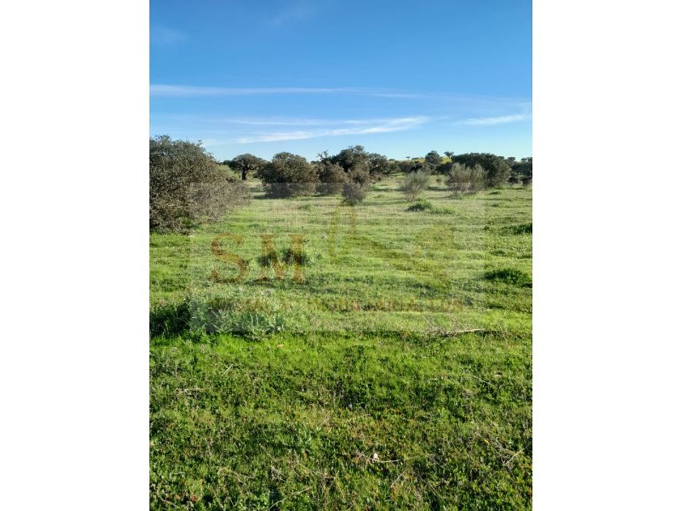 Helårsgrund i Alandroal, Evora - foto 5