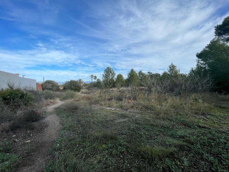 Helårsgrund i Llucmajor, Mallorca - foto 2
