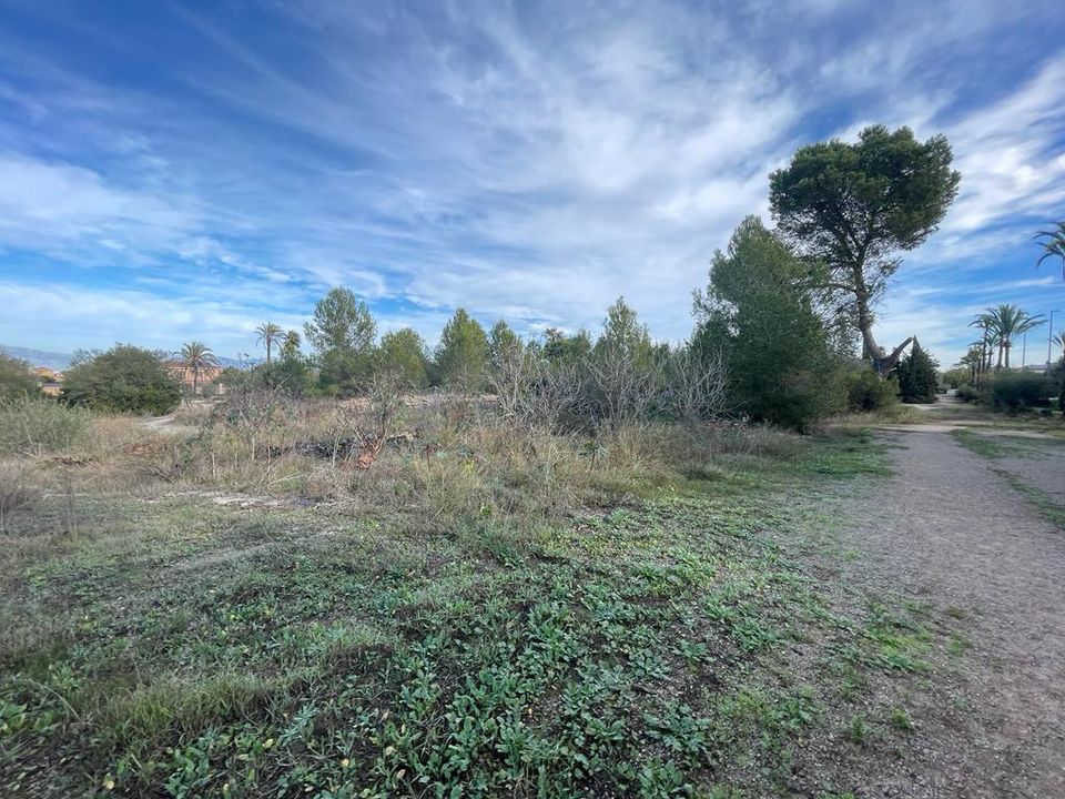Helårsgrund i Llucmajor, Mallorca - foto 3