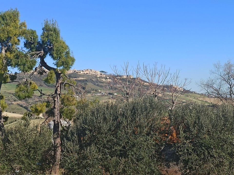 Villa i Monterubbiano, Fermo - foto 5