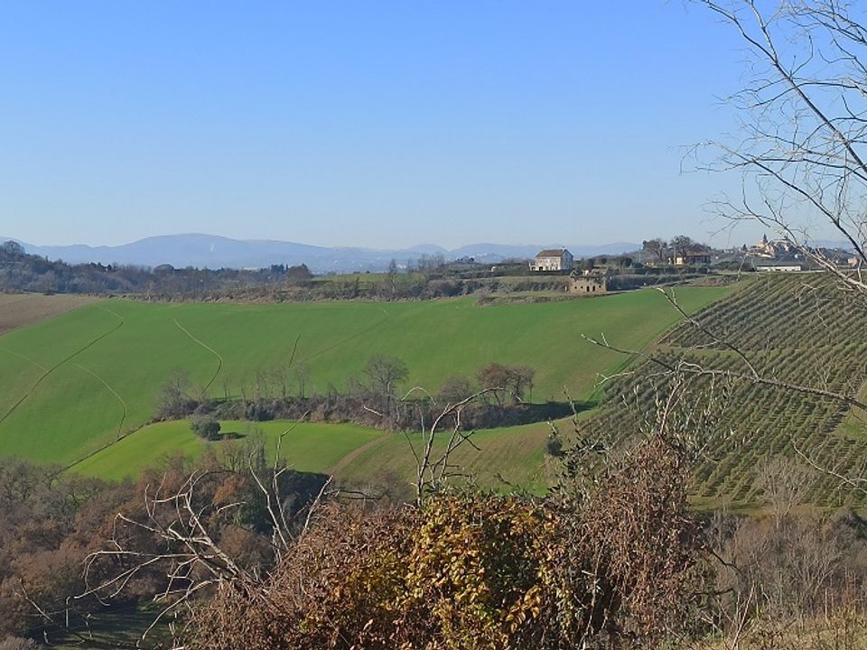 Villa i Monterubbiano, Fermo - bilde 4
