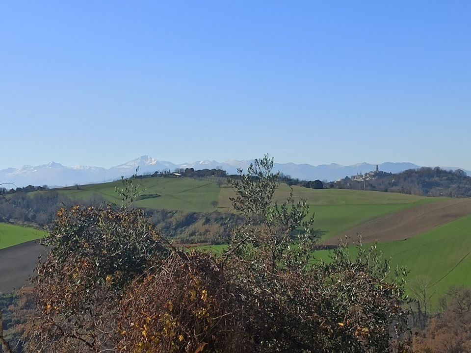 Villa i Monterubbiano, Fermo - bilde 5