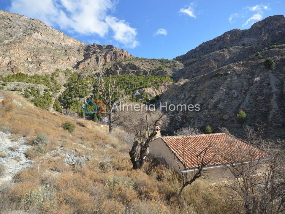 Masia a Oria, Almeria - foto 3