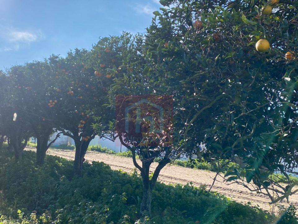Helårsgrund i Alcochete, Setubal - foto 2