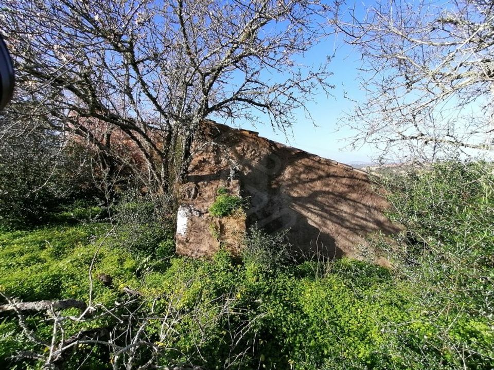 Helårsgrund i Alcantarilha, Faro - foto 5
