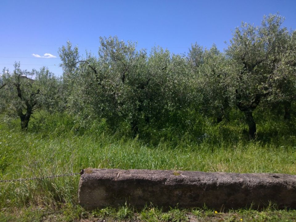 Terra a Eboli, Salerno - foto 2