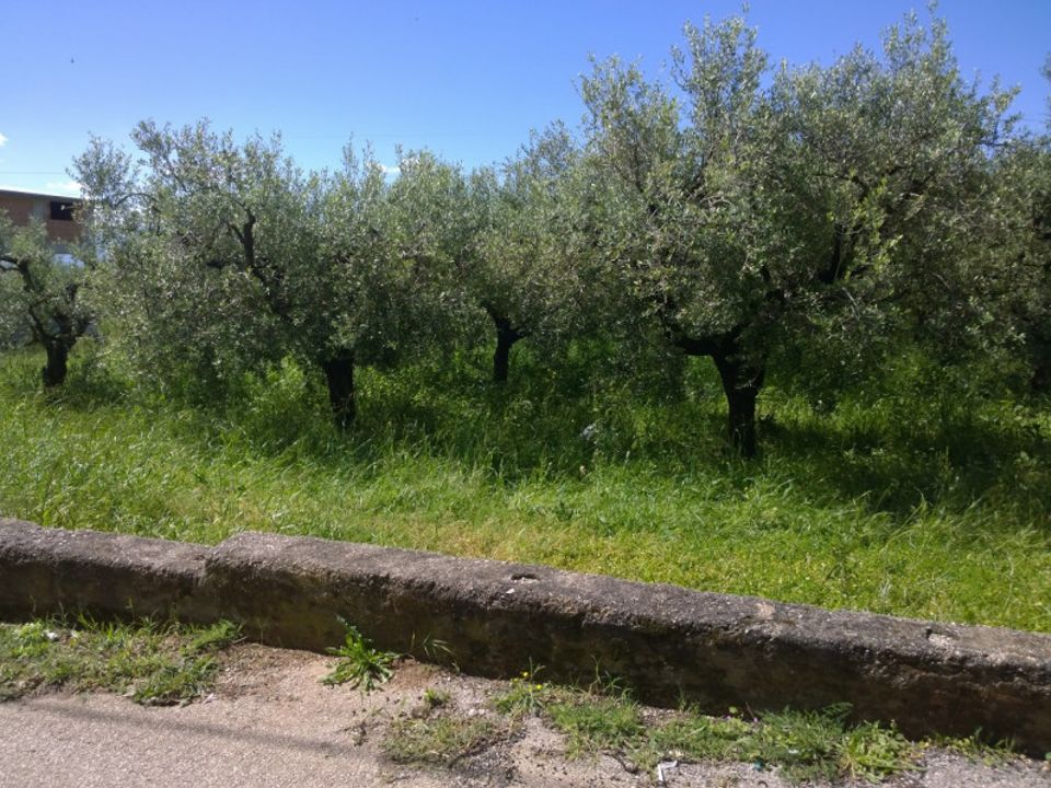 Terra a Eboli, Salerno - foto 3