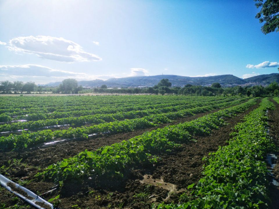Tomt i Eboli, Salerno - bilde 1