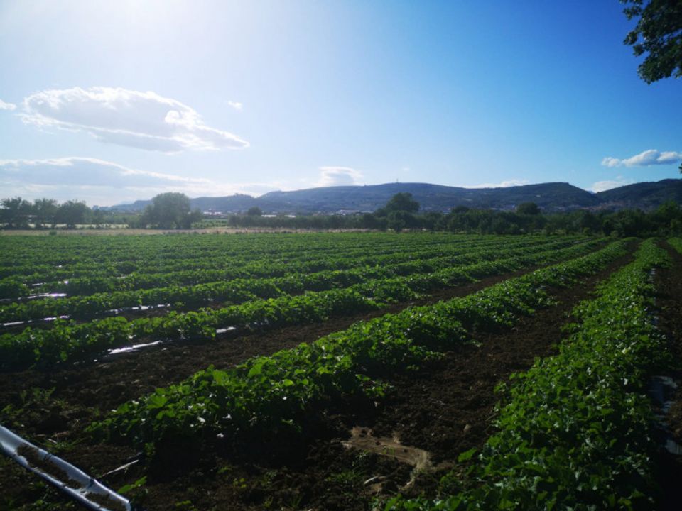 Tomt i Eboli, Salerno - bilde 2