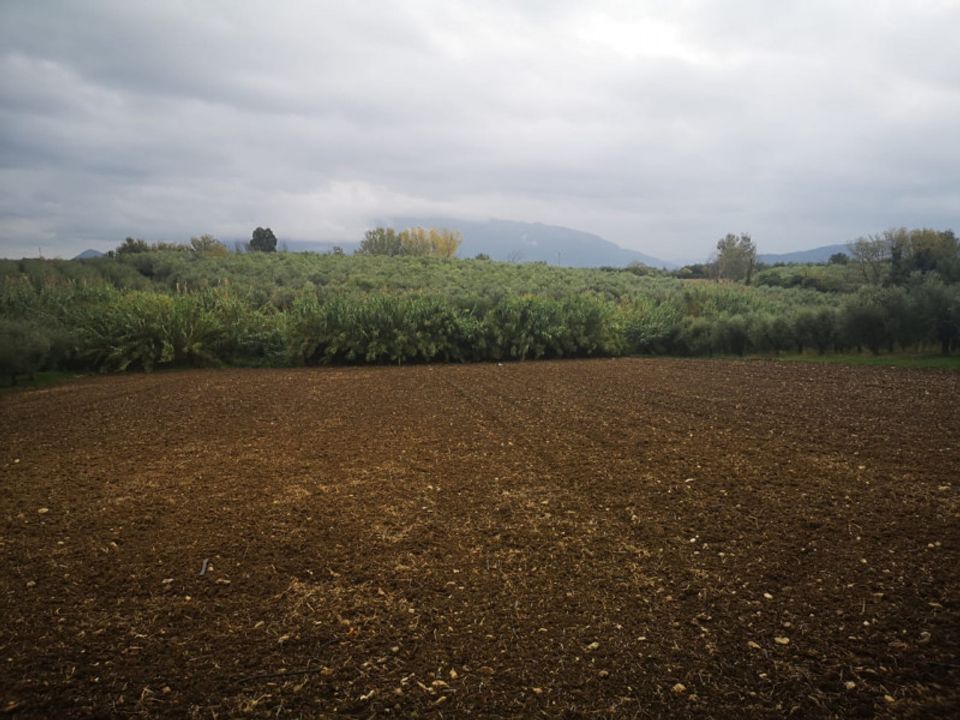 Helårsgrund i Eboli, Salerno - foto 4