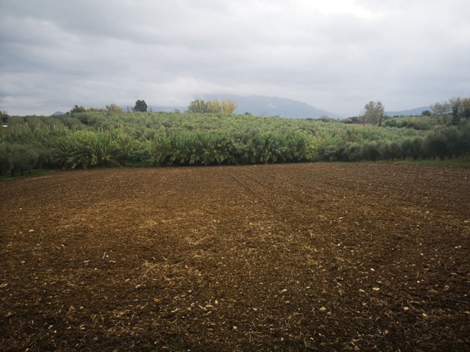 Helårsgrund i Eboli, Salerno - foto 5