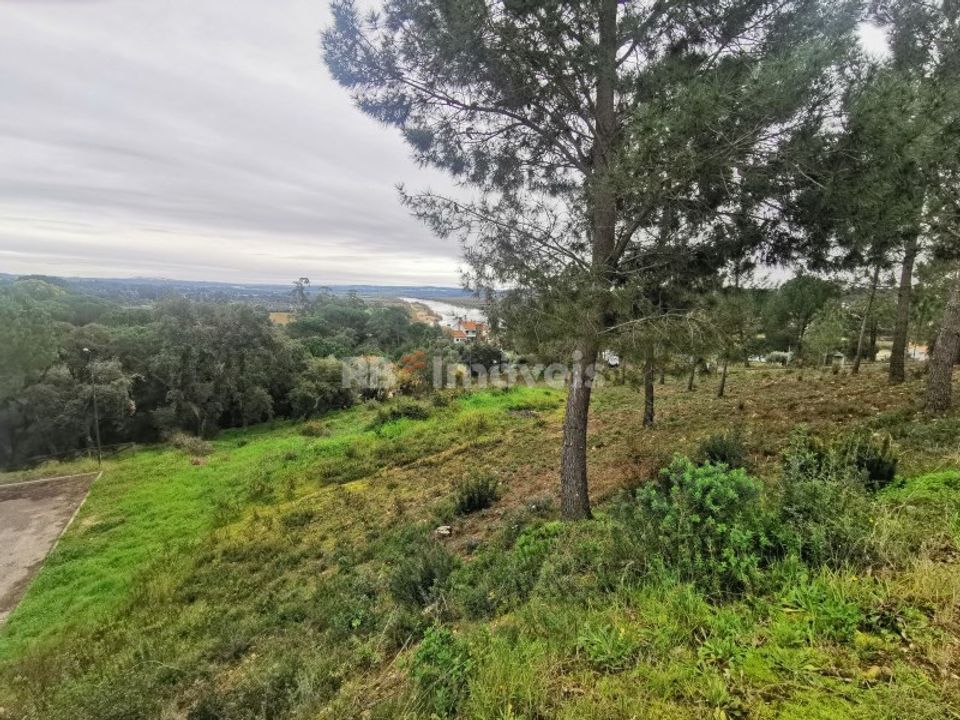 Tomt i Constancia, Santarem - bilde 2