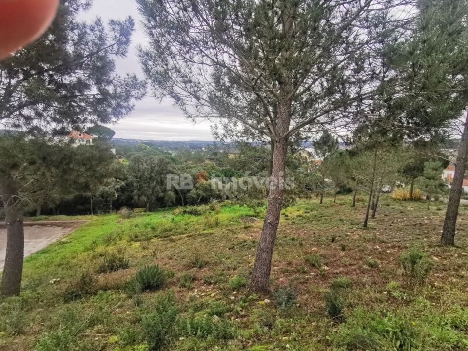 Tomt i Constancia, Santarem - bilde 3