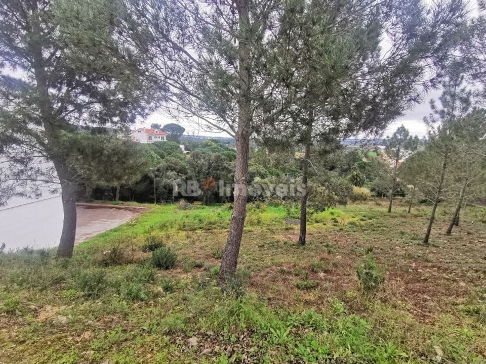 Tomt i Constancia, Santarem - bilde 1