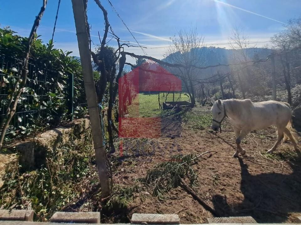 Helårsgrund i Vila Verde, Braga - foto 3