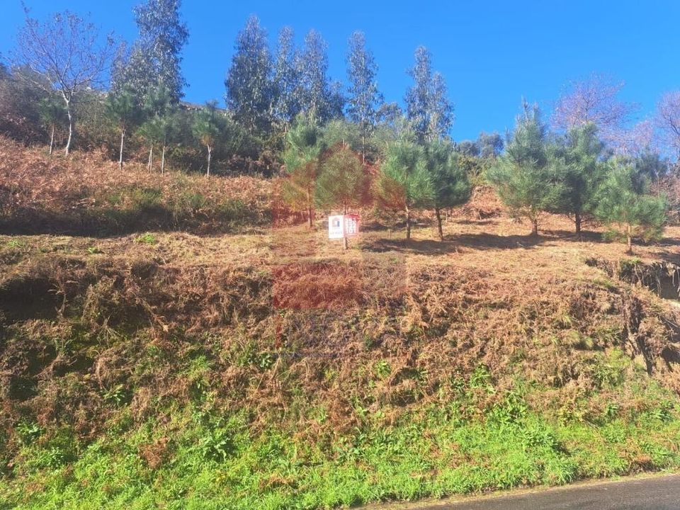 Helårsgrund i Vila Verde, Braga - foto 2