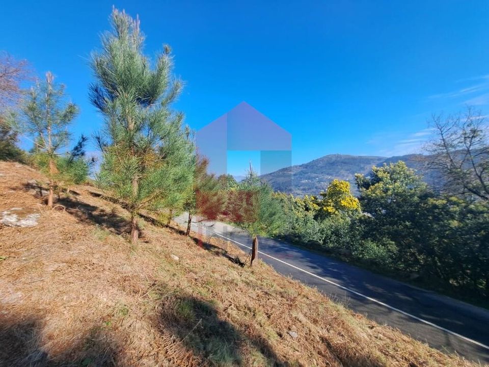 Helårsgrund i Vila Verde, Braga - foto 4