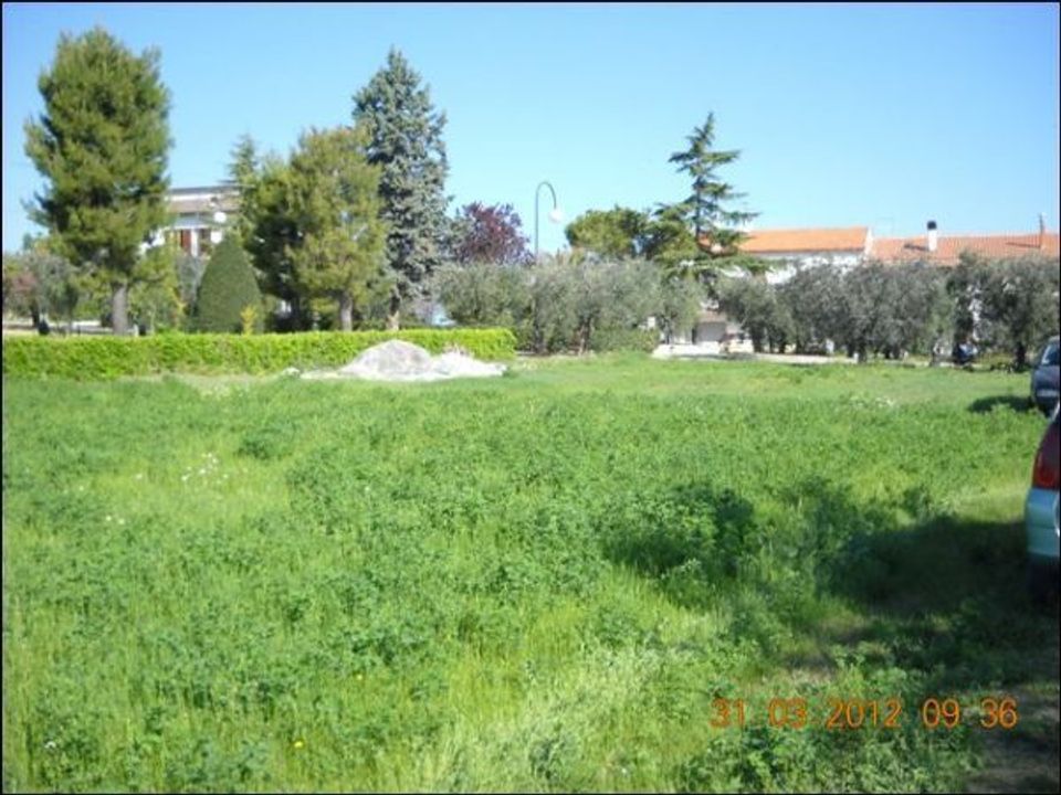 Terra a Castorano, Ascoli Piceno - foto 3