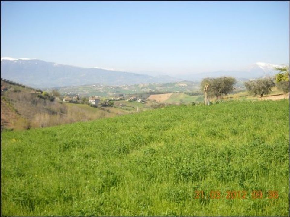 Terra a Castorano, Ascoli Piceno - foto 4