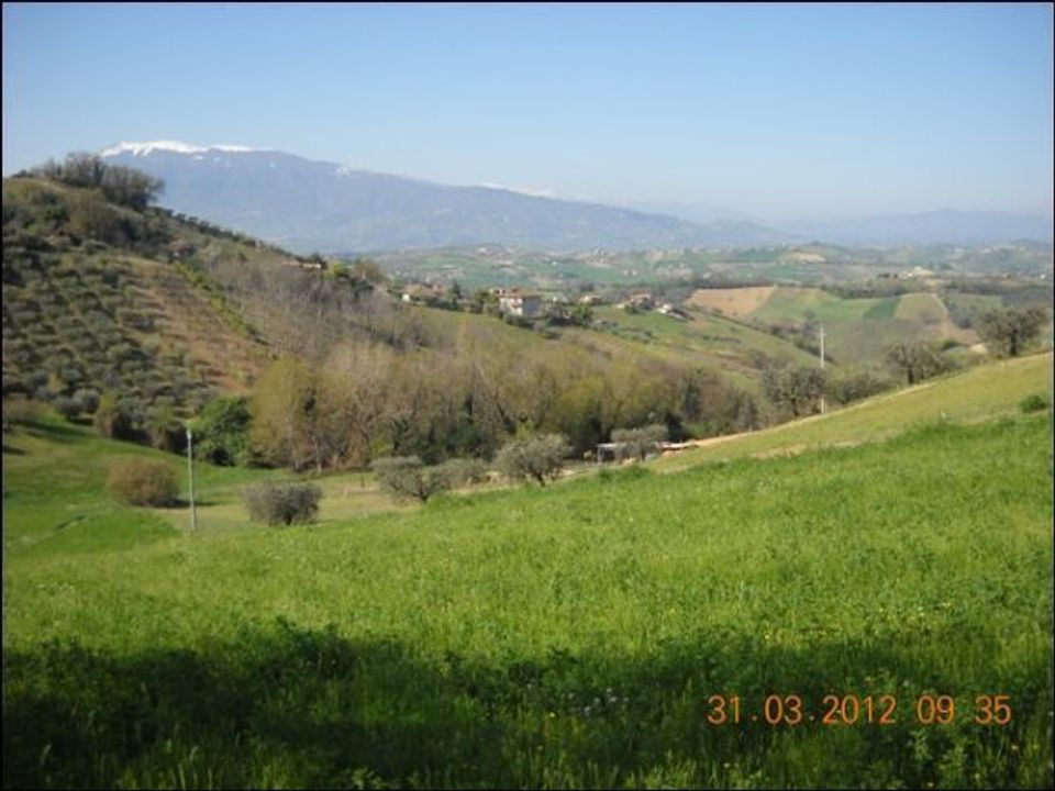 Terra a Castorano, Ascoli Piceno - foto 5