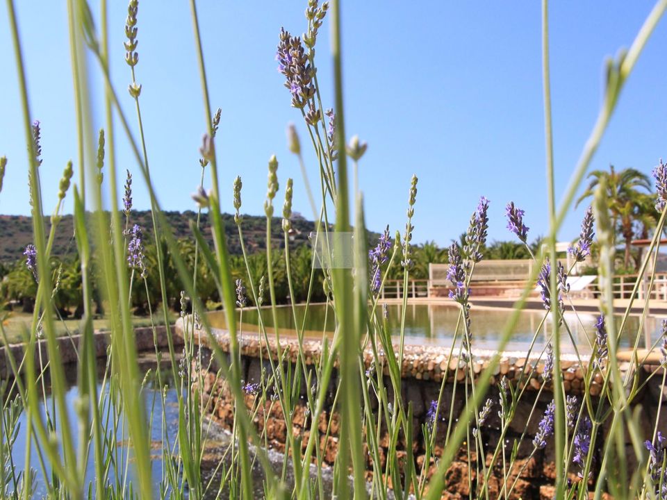 Farm hus i Estombar, Faro - foto 5