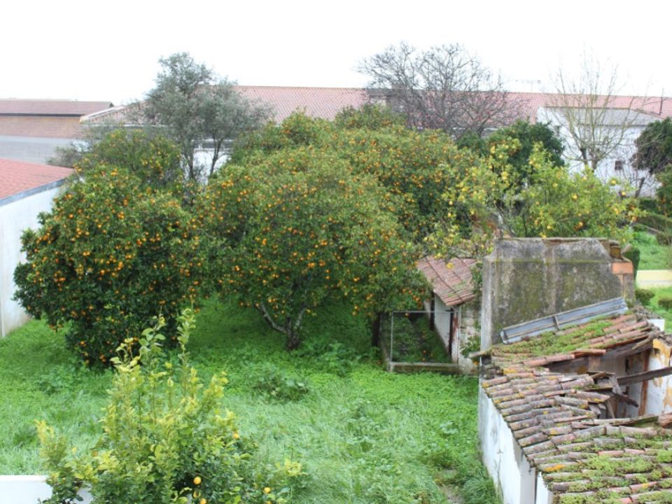 Lejlighed i Estremoz, Evora - foto 4