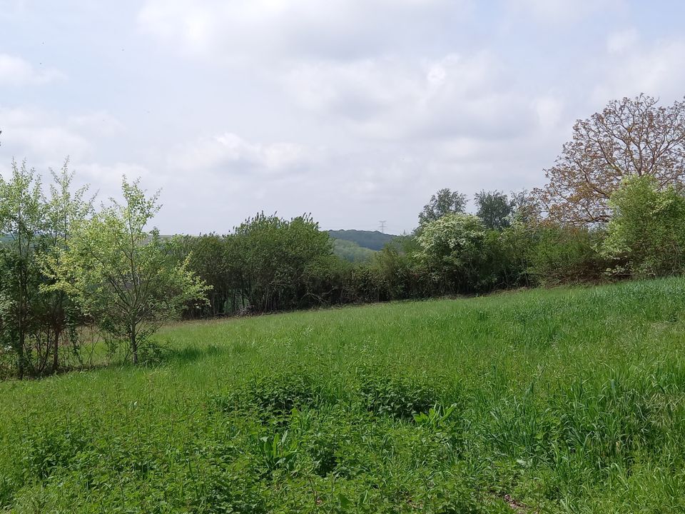 Helårsgrund i Seyches, Lot-et-Garonne - foto 1
