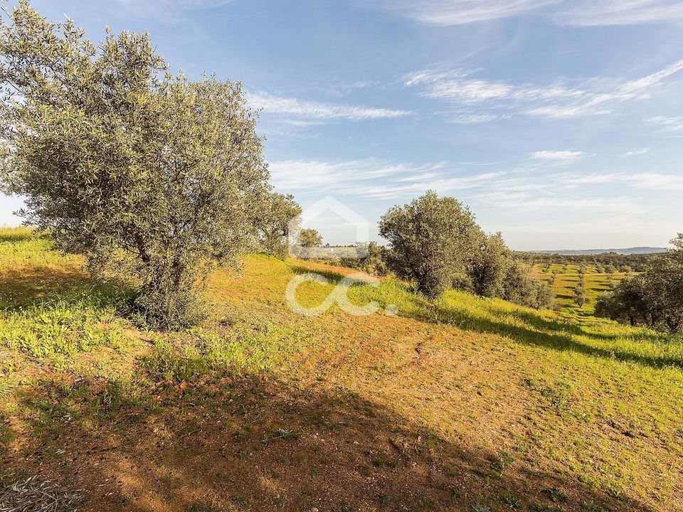 Helårsgrund i Amieira e Alqueva, Evora - foto 3