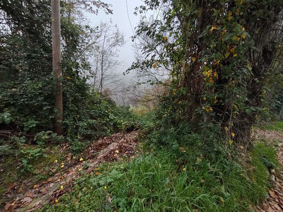 Villa i Poggio San Marcello, Ancona - foto 3