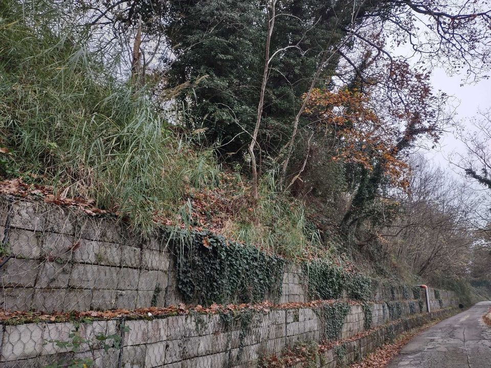 Villa i Poggio San Marcello, Ancona - foto 4