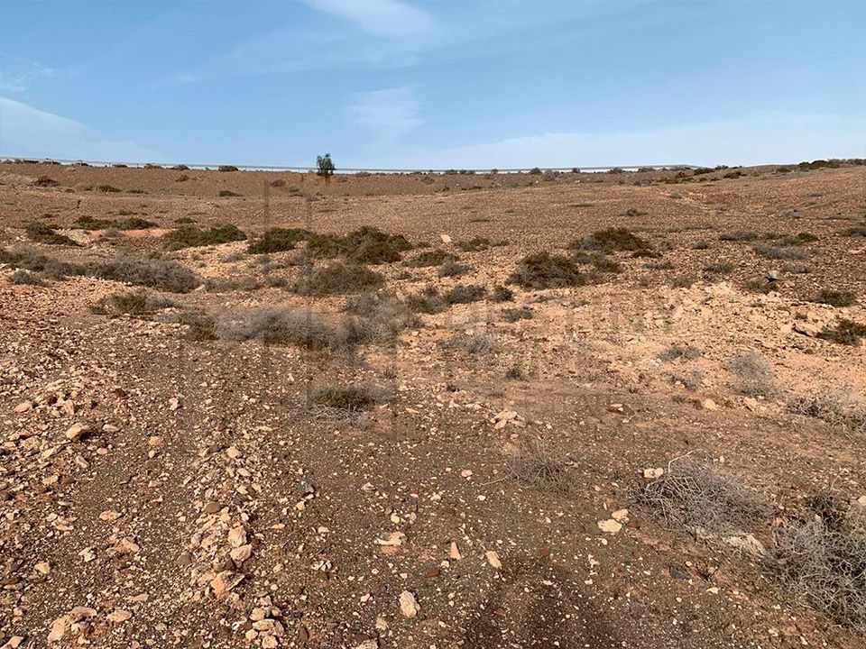 Helårsgrund i Tuineje, Fuerteventura - foto 2