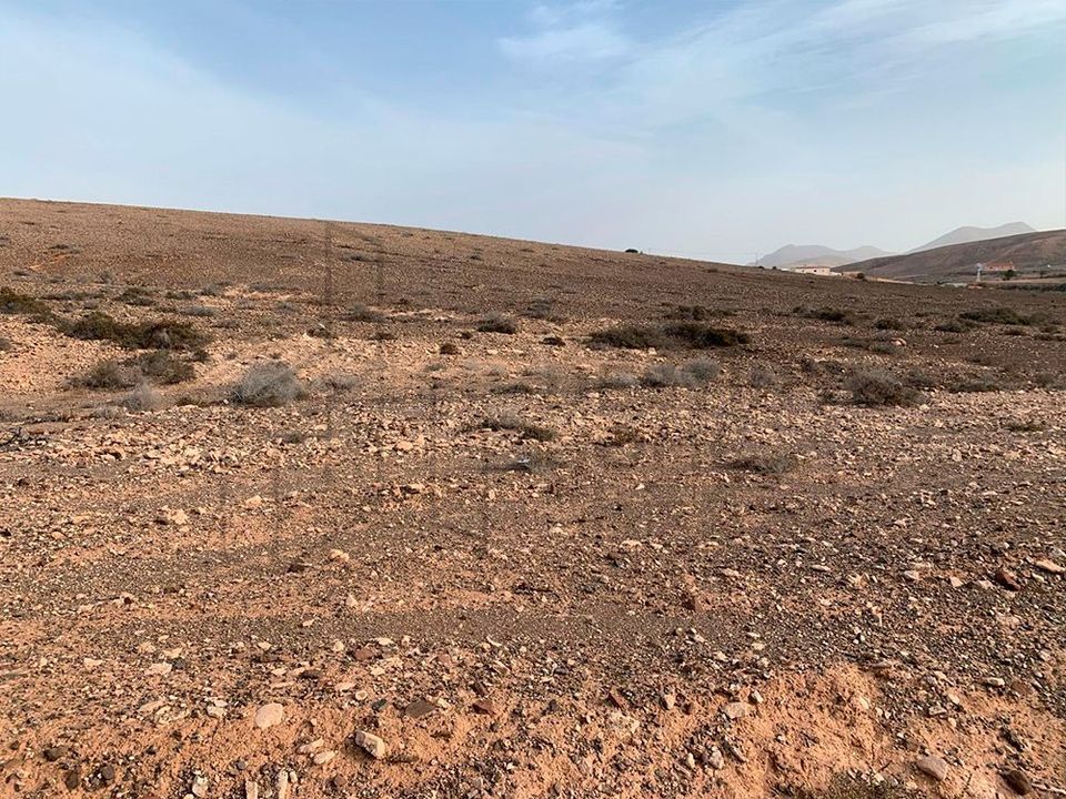 Helårsgrund i Tuineje, Fuerteventura - foto 5