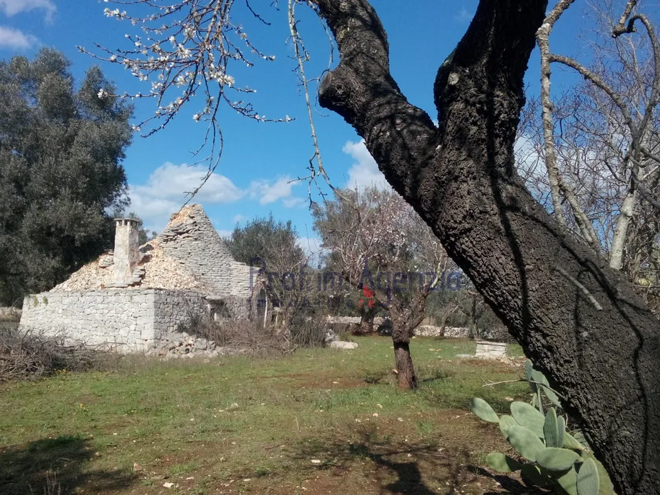 Herregård i Ceglie Messapica, Brindisi - bilde 2