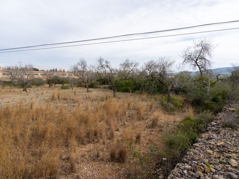 Tomt i La Galera, Tarragona - bilde 4