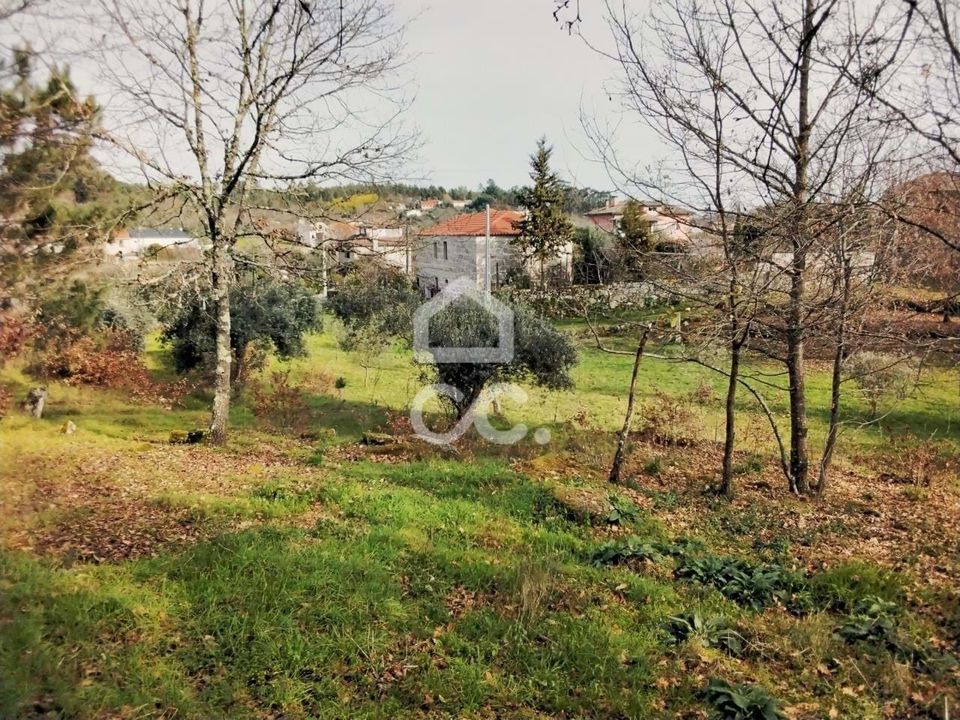 Helårsgrund i Viseu, Viseu - foto 3