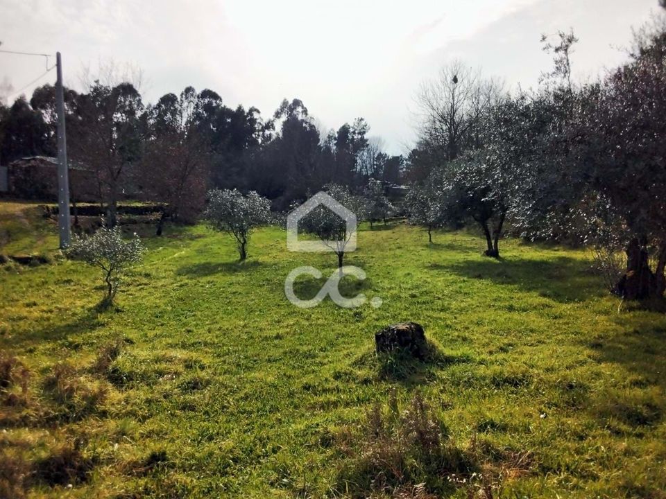 Helårsgrund i Viseu, Viseu - foto 4