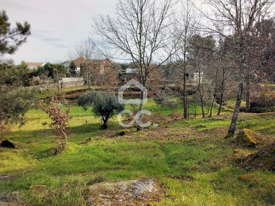 Helårsgrund i Viseu, Viseu - foto 5