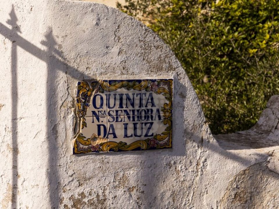 Farm i Lagoa, Faro - foto 1