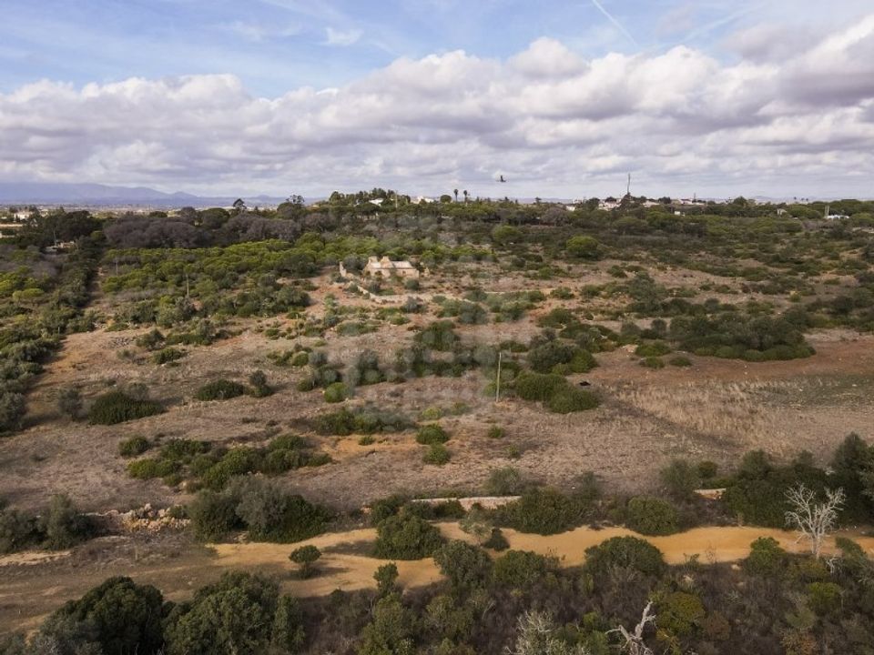 Farm i Lagoa, Faro - foto 2