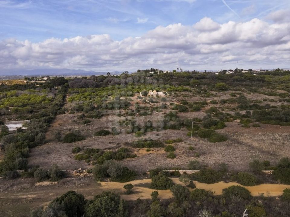 Farm i Lagoa, Faro - foto 3