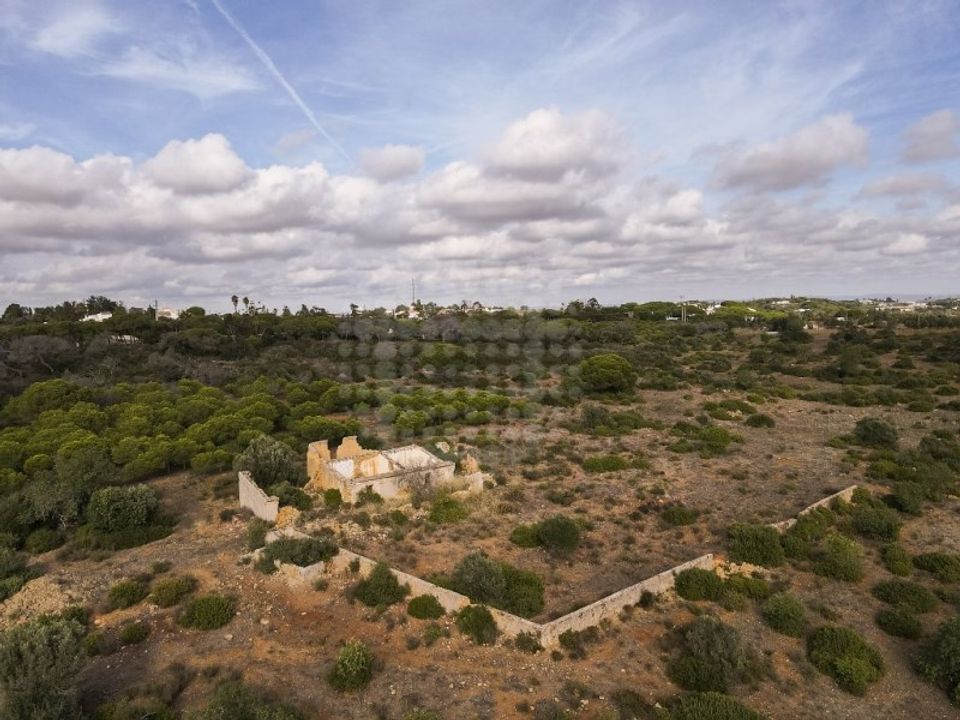 Farm i Lagoa, Faro - foto 4