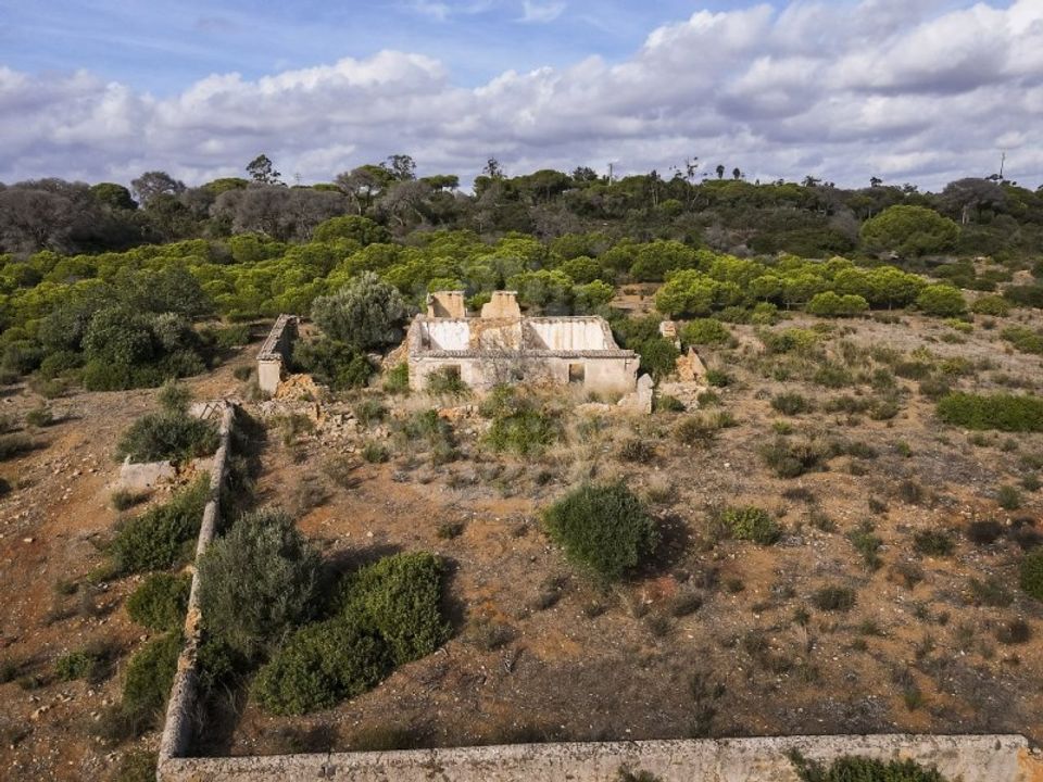 Farm i Lagoa, Faro - foto 5