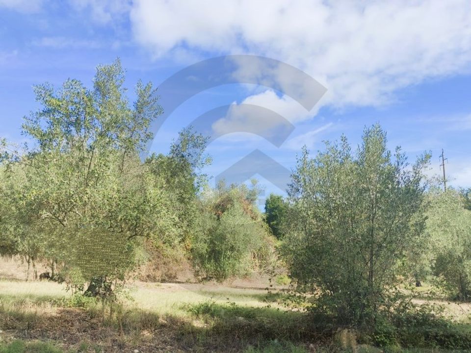Helårsgrund i Ourem, Santarem - foto 1
