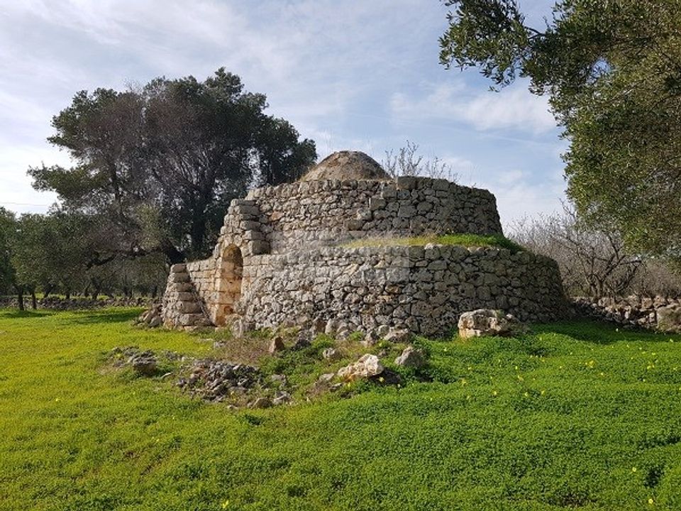 Tomt i Carovigno, Brindisi - bilde 1
