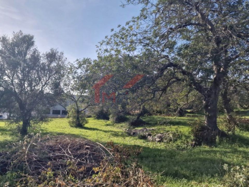 Helårsgrund i Sao Bras de Alportel, Faro - foto 2