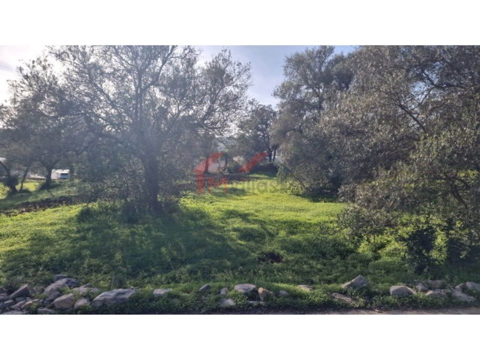 Helårsgrund i Sao Bras de Alportel, Faro - foto 3